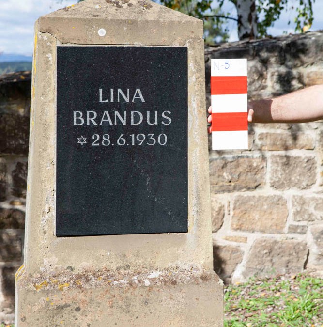 Brandus Lina | N-5