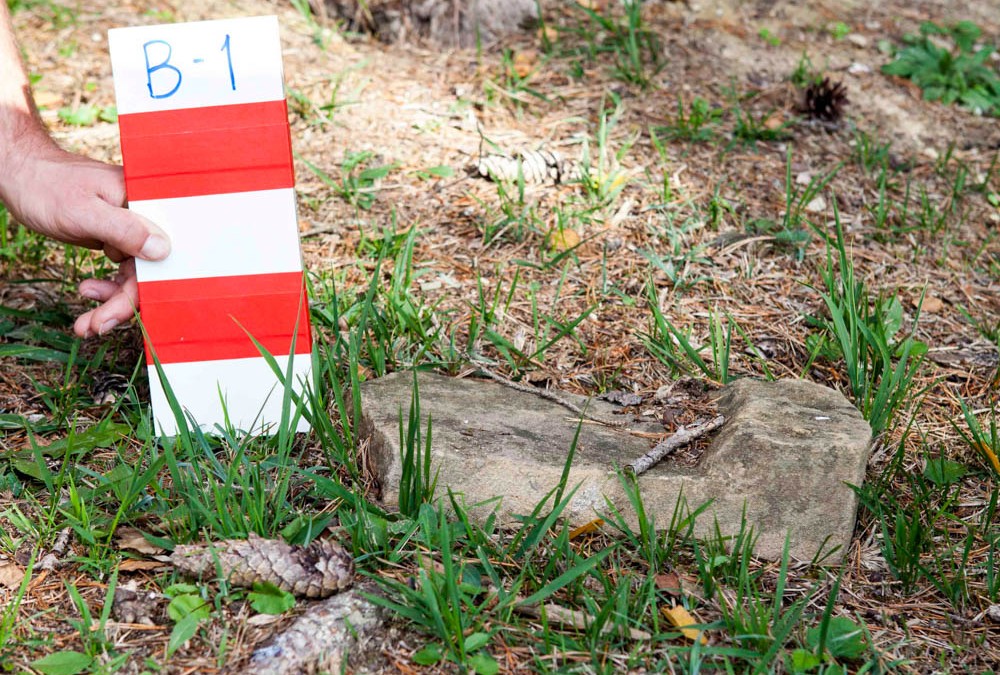 Dinkel Schannet | B-1