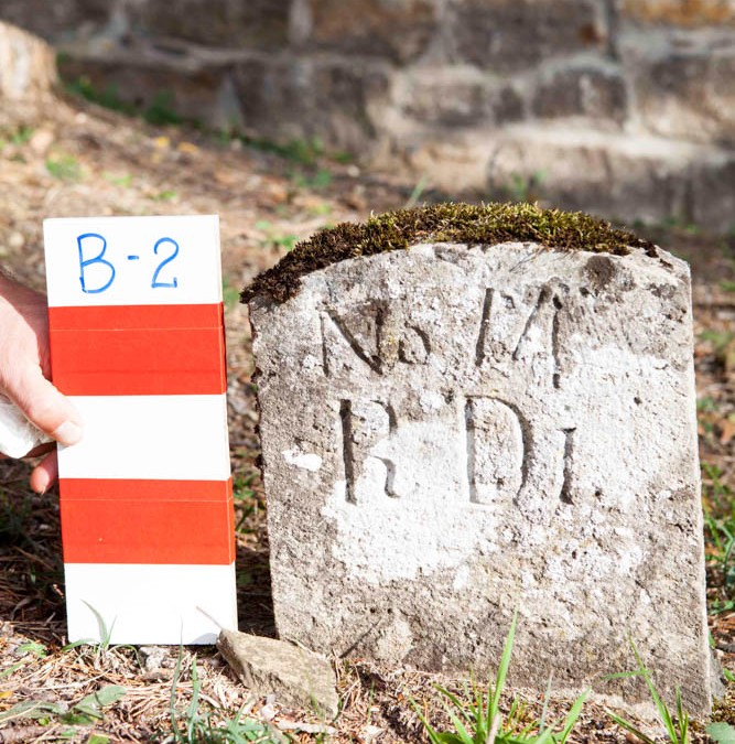 Dinkel Raphael | B-2