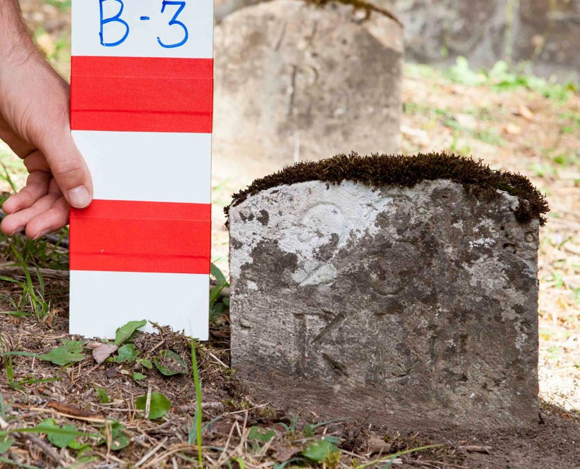 Lustig Karolina | B-3