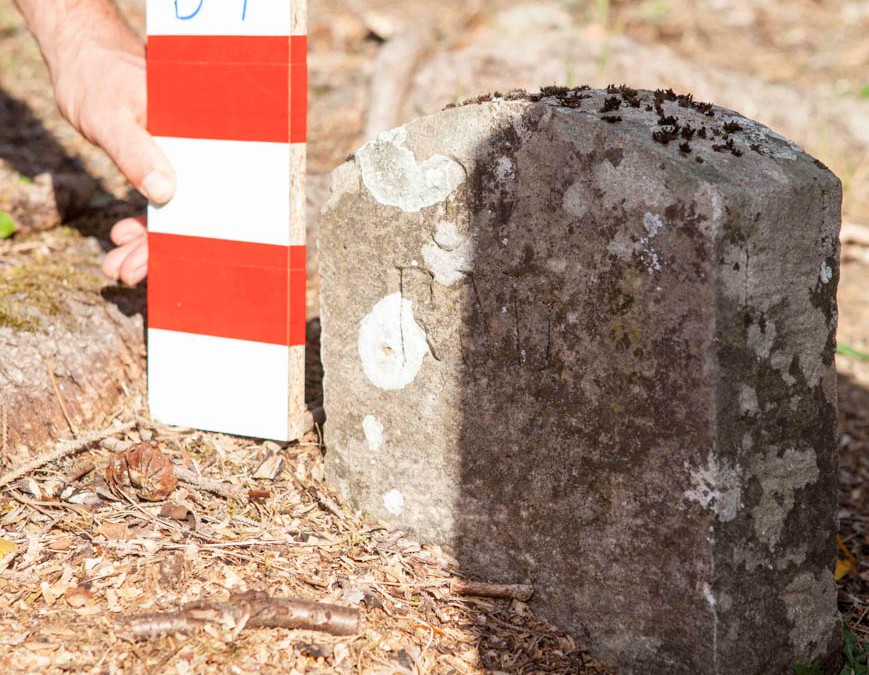 Mittel Karolin (?) | B-7