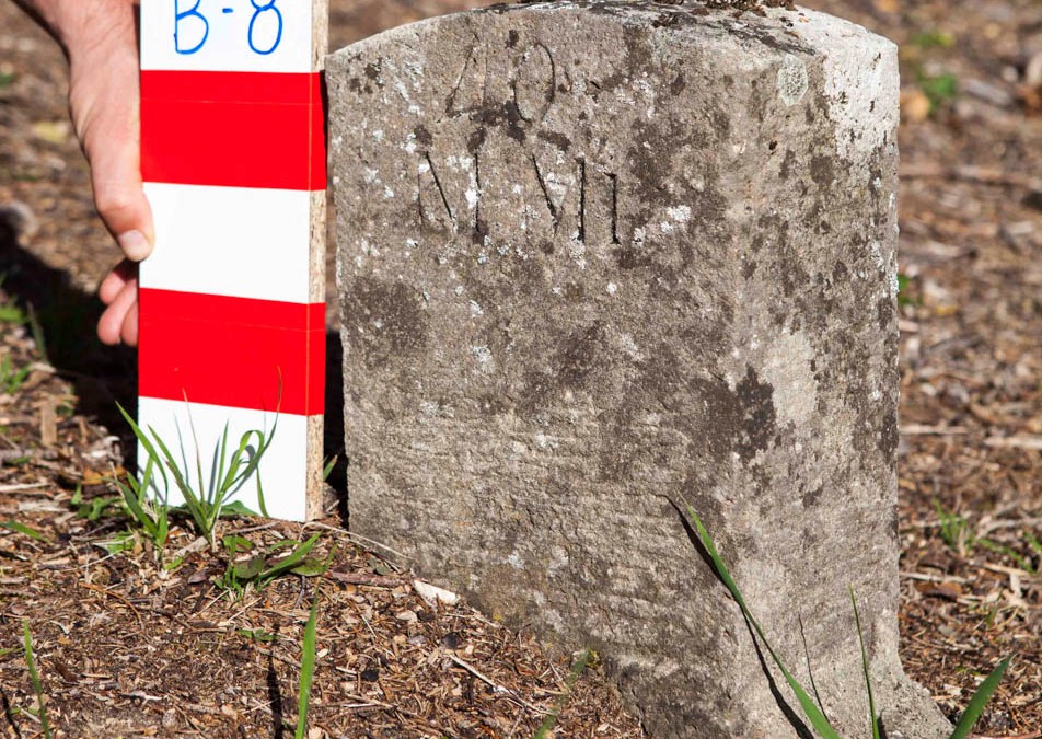 Mittel Michel |  B-8