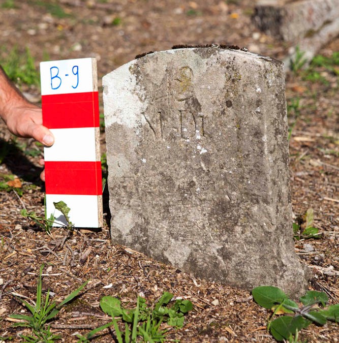 Dinkel  Malchen  | B-9