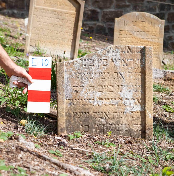 Rosenberg Levi | E-10