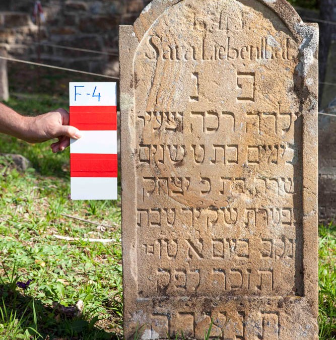 Liebenttal Sara | F4