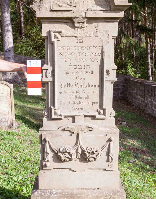 Nußbaum (Nussbaum) Jette | I-1