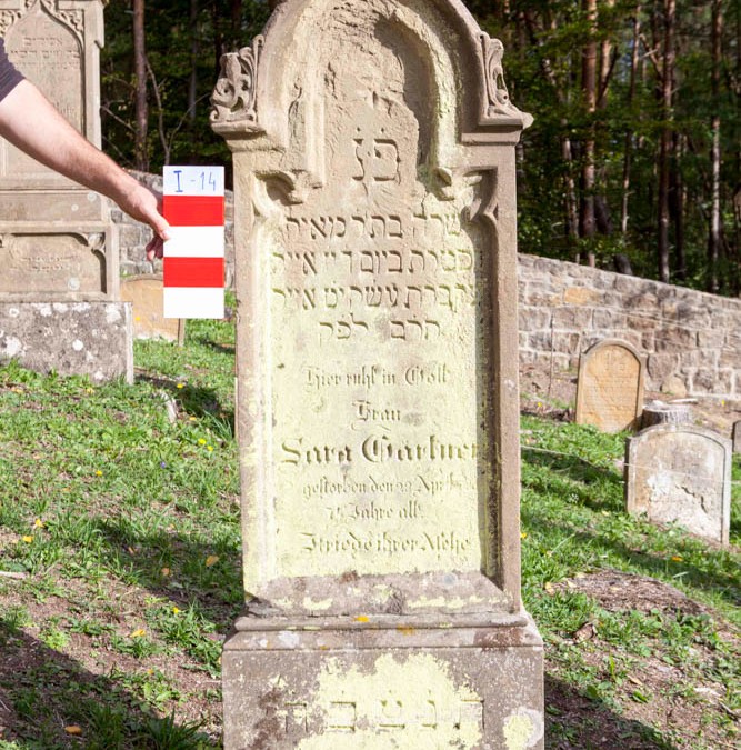 Gärtner Sara | I-14