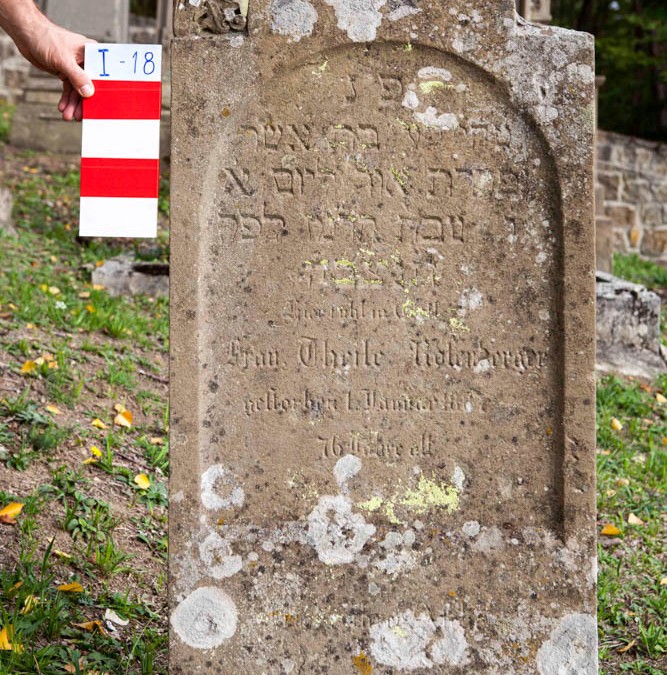 Rosenberger Theile | I-18