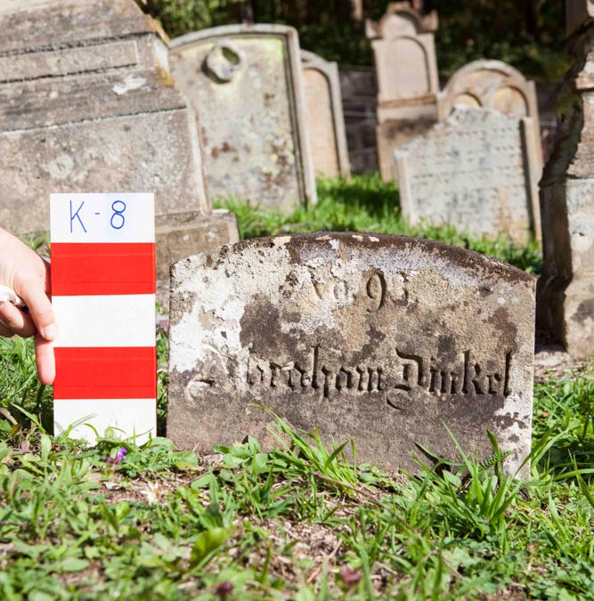 Dinkel Abraham | K-8