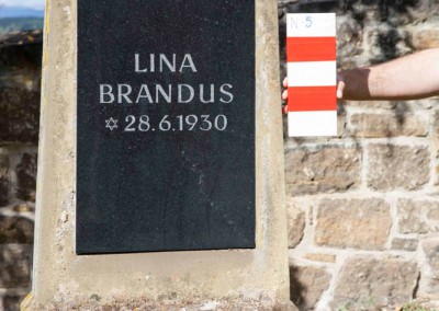 Brandus Lina | N-5